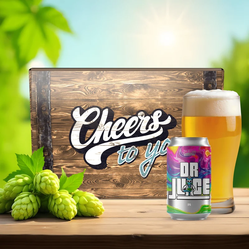 Best IPAs of 2026 - 24 Pack Beer Box