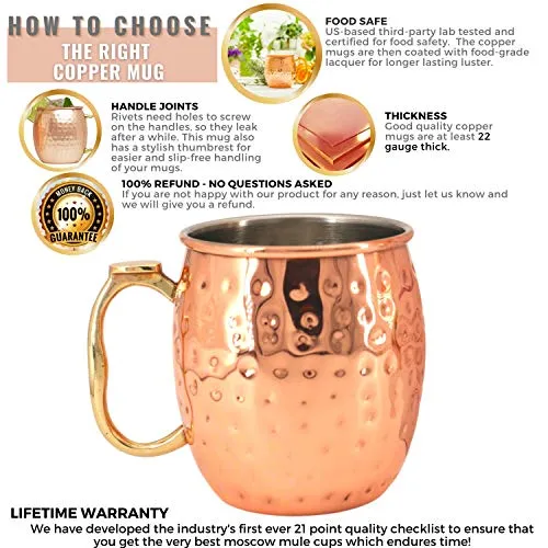 [Gift Set] Kitchen Science Moscow Mule Mugs, Stainless Steel Lined Copper Moscow Mule Cups Set of 6 (18oz) w/ Straws, Jigger, Spoon & Brush | Tarnish-Resistant Stainless Steel Interior