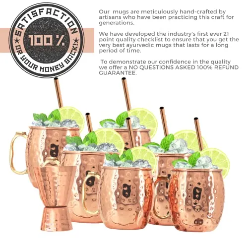 [Gift Set] Kitchen Science Moscow Mule Mugs, Stainless Steel Lined Copper Moscow Mule Cups Set of 6 (18oz) w/ Straws, Jigger, Spoon & Brush | Tarnish-Resistant Stainless Steel Interior