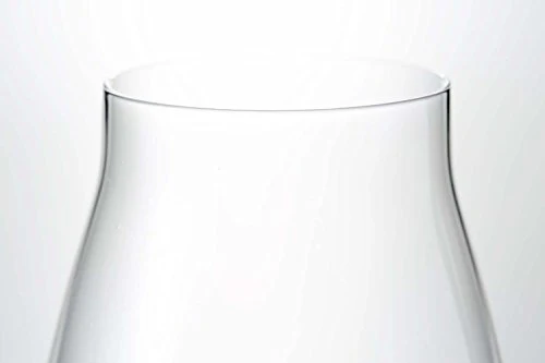Luigi Bormioli Birrateque Craft Beer Glasses Stout (Set of 2), 20.25 oz