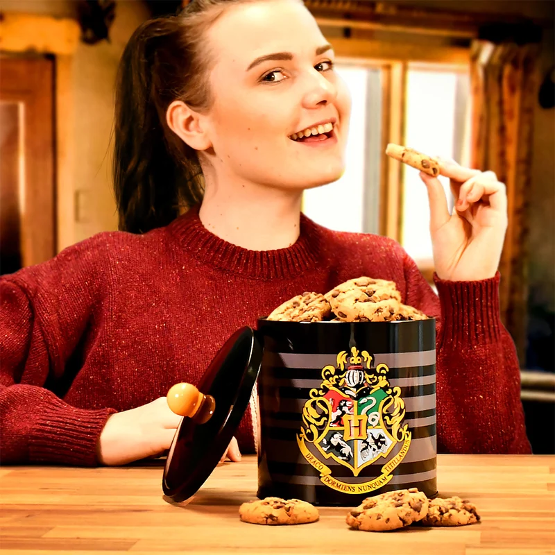 Harry Potter - Hogwarts Wappen Dose