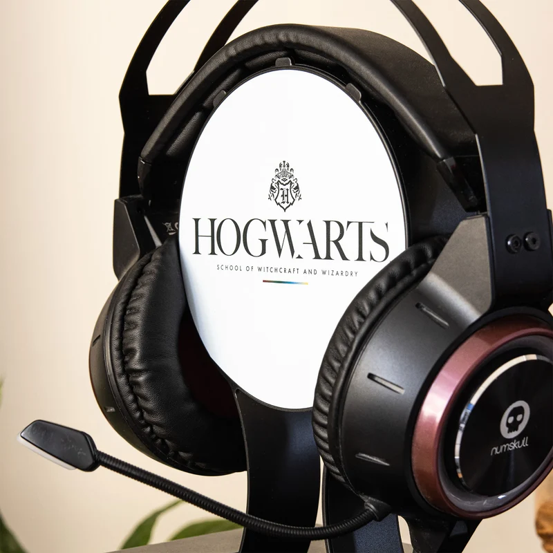 Harry Potter Gaming Locker
